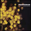 Phantogram (팬토그램) - 1집 Eyelid Movies [LP]