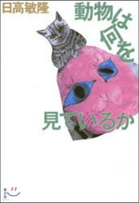動物は何を見ているか