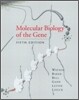 Molecular Biology of the Gene