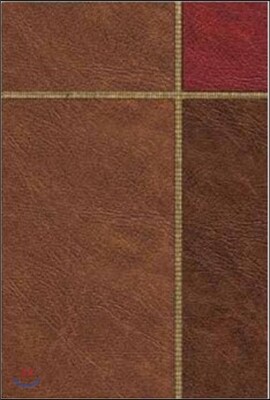 Message-MS-Large Print Numbered: The Bible in Contemporary Language