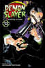 Demon Slayer: Kimetsu no Yaiba, Vol. 13