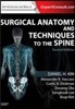 Surgical Anatomy and Techniques to the Spine