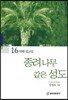 종려나무 같은 성도