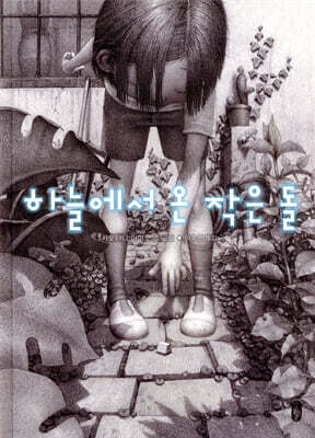 하늘에서 온 작은 돌