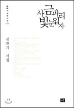 사금파리 빛 눈 입자