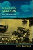 In Search of the Amazon: Brazil, the United States, and the Nature of a Region
