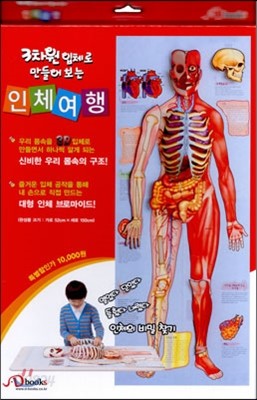 3차원 입체로 만들어보는 인체여행