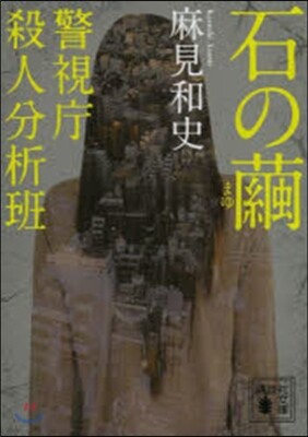 警視廳殺人分析班 石の繭