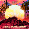 Big Gigantic - Free Your Mind (140g Gatefold Colored 2LP)(Digital Download Card)