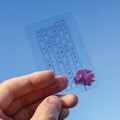 투명 원고지 책갈피 [한국 시인 5명의 시를 담은 꽃 시집 북마크 예쁜 북클립 굿즈]