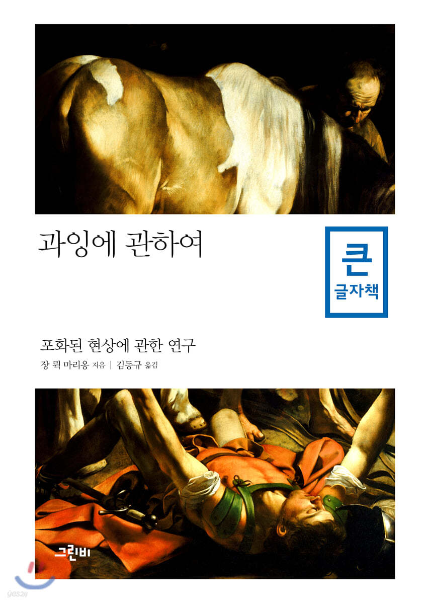 과잉에 관하여 (큰글자책)