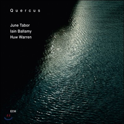 Quercus (June Tabor, Iain Ballamy, Huw Warren) - Quercus