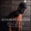 Adam Laloum 슈베르트: 피아노 소나타 18, 19번 - 아담 랄룸 (Schubert: Piano Sonatas D894, 958)