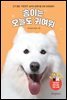 솜이는 오늘도 귀여워