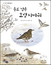 홀로 남은 호랑지빠귀