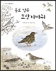 홀로 남은 호랑지빠귀