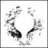 Sigur Ros - ( )