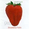 Bob Belden / Strawberry Fields (일본반)