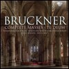 Nicol Matt 브루크너 : 미사, 테데움 전곡집 (Bruckner: Complete Masses, Te Deum) 니콜 매트