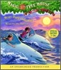 Magic Tree House Collection: Books 9-16: #9: Dolphins at Daybreak; #10: Ghost Town; #11: Lions; #12: Polar Bears Past Bedtime; #13: Volcano; #14: Drag