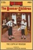 The Copycat Mystery