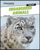 Endangered Animals