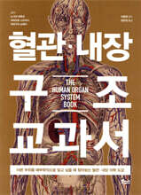 혈관 내장 구조 교과서