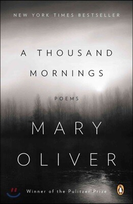 A Thousand Mornings: Poems