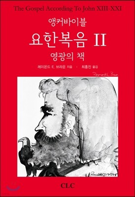 앵커바이블 요한복음 2