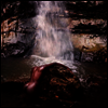 Moses Sumney - Grae (CD)