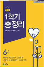 해법 1학기 총정리 6-1 (8절)(2020년)