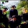 Blind Owls - All Day And Night (LP)
