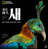 포토 아크, 새