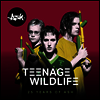 Ash - Teenage Wildlife - 25 Years Of Ash (2LP)