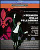 Federico Maria Sardelli 16세기 막간극 ‘페레그리나’ (Intermedi della pellegrina: Firenze 1589)