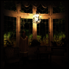 Annamy - Woodpecker (LP)