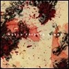 Slayer - World Painted Blood