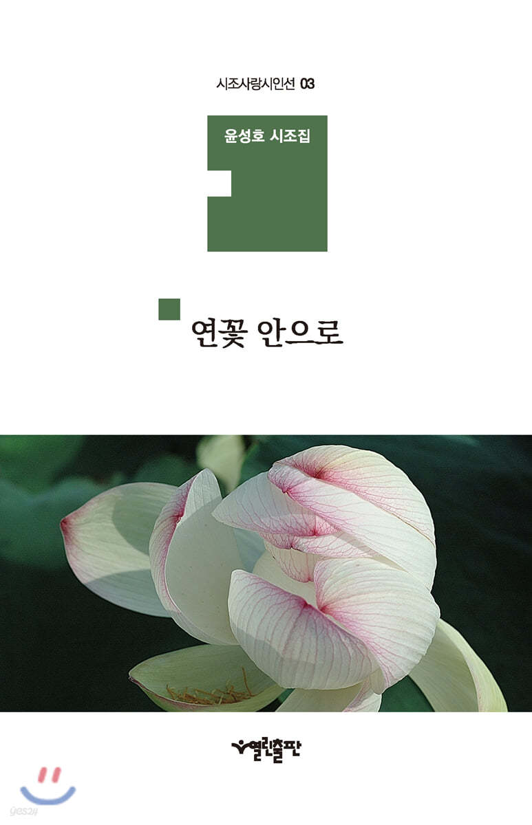 연꽃 안으로