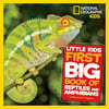 National Geographic Little Kids First Big Book of Reptiles and Amphibians