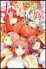 五等分の花嫁 14