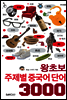 왕초보 주제별 중국어 단어 3000