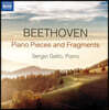Sergio Gallo 베토벤: 피아노 소품과 단편 작품집 (Beethoven: Piano Pieces and Fragments)