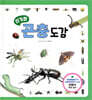 신기한 곤충 도감