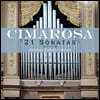 Andrea Chezzi 도메니코 치마로사: 오르간 소나타 21곡 모음 (Domenico Cimarosa: 21 Sonatas)