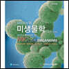 Brock의 미생물학