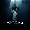 Skylit Drive - Rise (LP)