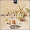 Fabrizio Longo 안토니오 베라치니: 실내소나타 4번 외 (Antonio Veracini: Sonate da camera Op. 2)