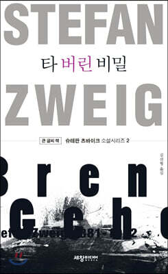 타 버린 비밀 (큰글씨책)