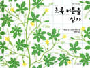 초록 커튼을 심자