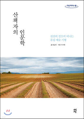 산책자의 인문학 (큰글자도서)